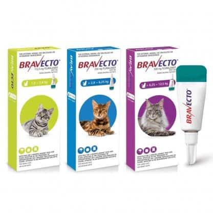 ברבקטו אמפולה So לחתול Bravecto