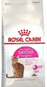 רויאל קנין אקסיגנט סאבור חתול 4 קג Royal Canin