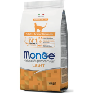מונג' חתול בוגר לייט הודו Monge