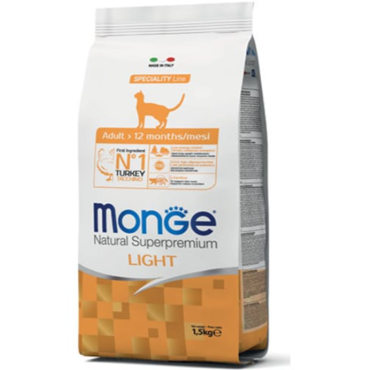 מונג' חתול בוגר לייט הודו Monge