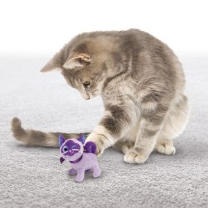 Cute orange kitten playing on a white background.