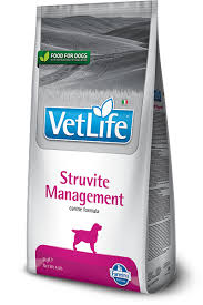 וט לייף מנג'מנט סטרוויט כלב Vet Life