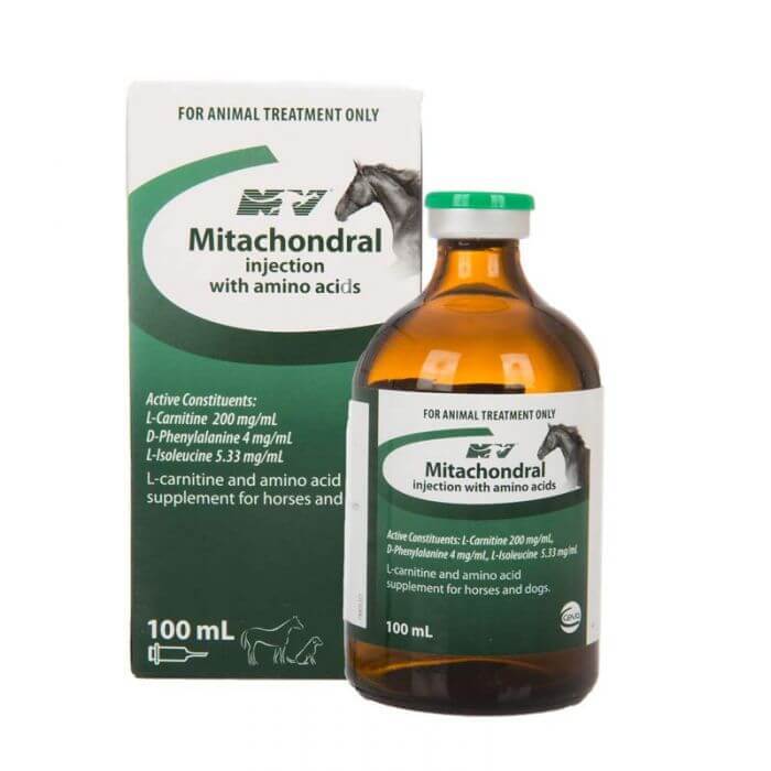 בקבוק 100 מ"ל של Mitachondral – תמיסה להזרקה לפני פעילות גופנית לשיפור סיבולת ושריר בסוסים וכלבים.