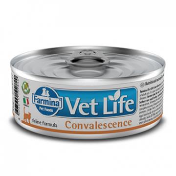 וט לייף שימורי קונבלסנס (ריקברי) לחתול 85 ג Vet Life