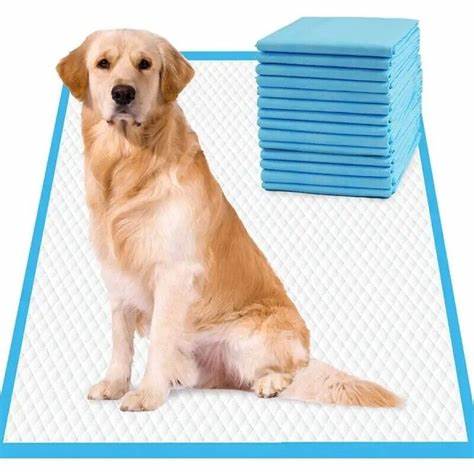 סמארט דוג פדים לכלב 60 60 Smart Dog.jpg תמונה עם כלב