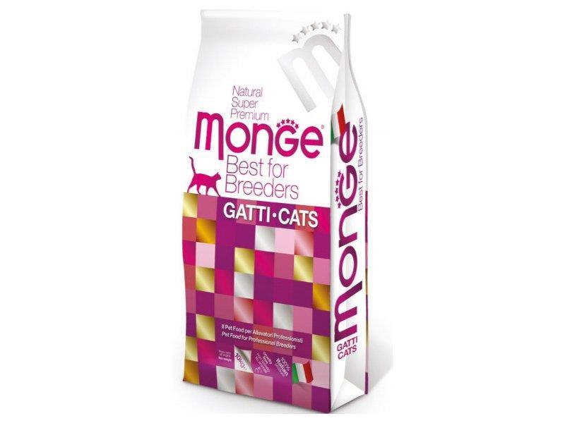 מונג' גור חתול קיטן Monge