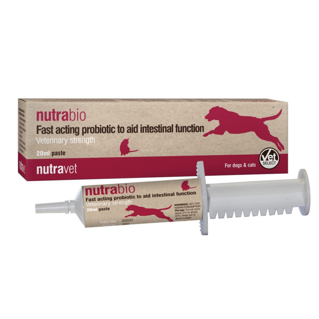 מזרק NutraBio 20 מ"ל – פסטת פרוביוטיקה מהירת פעולה לתמיכה בעיכול של כלבים וחתולים.