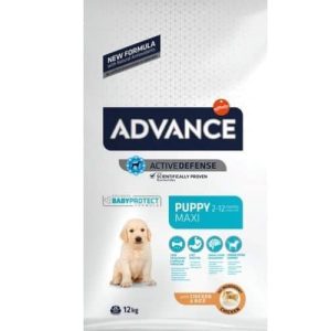 אדוונס גור כלב גזע גדול Advance