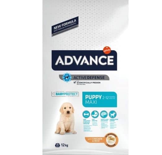 אדוונס גור כלב גזע גדול Advance