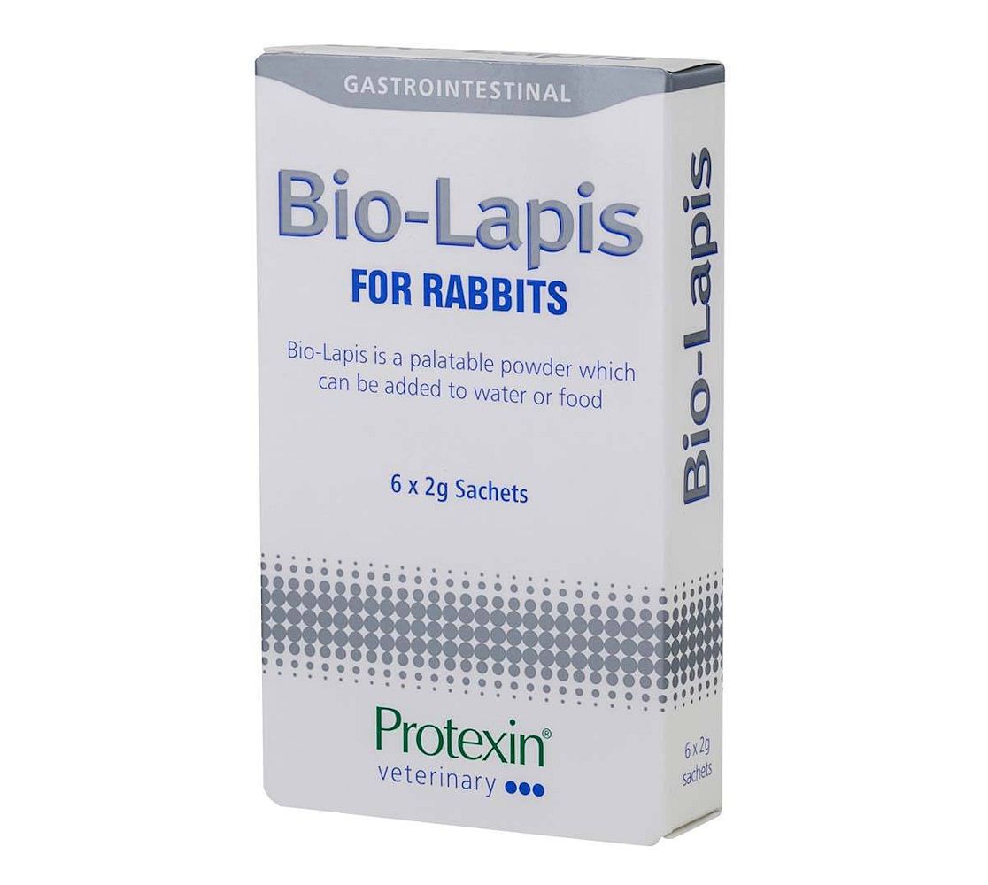 שקית 2 גרם Bio-Lapis – אבקה טעם דנדליון לטיפול בהתייבשות ותחזוקת עיכול לארנבונים.
