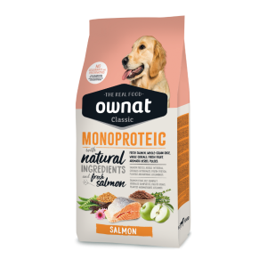 שק מזון יבש לכלבים עם סלמון כחלבון יחיד ודגנים מלאים