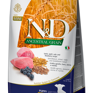 שק מזון יבש לגורי כלבים מגזע קטן עם כבש, אוכמניות ודגנים עתיקים.