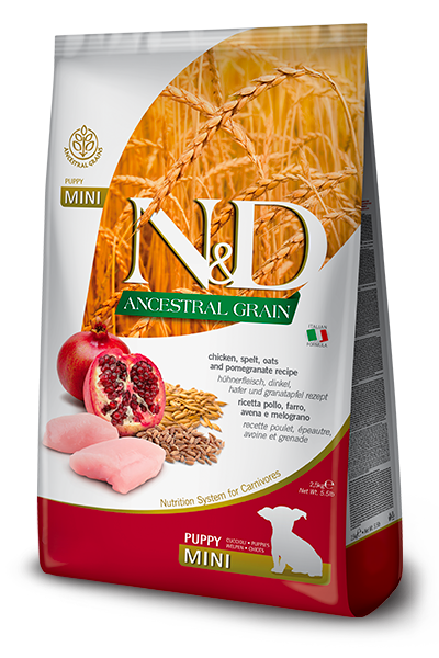 שק מזון יבש לגורי מיני N&D Ancestral Grain בטעם עוף ורימונים.