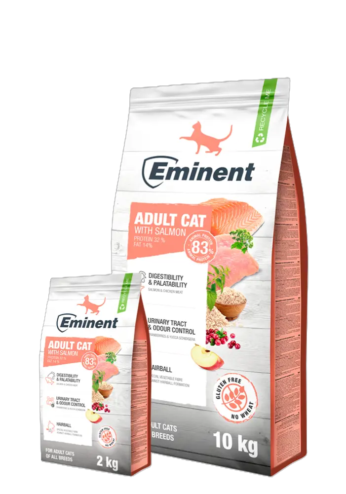 שק מזון יבש מלא לחתולים בוגרים בטעם סלמון