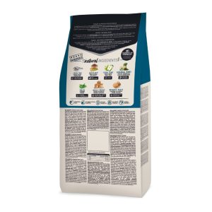 חתול קלאסי דג 2