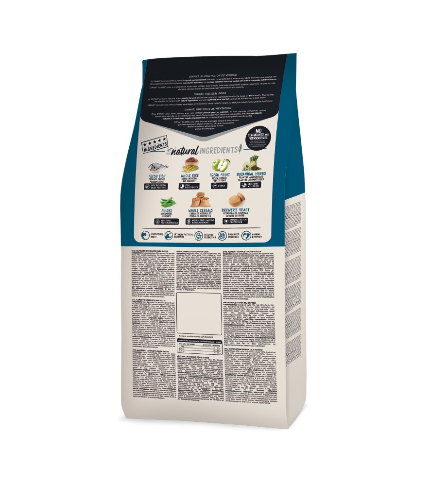 חתול קלאסי דג 2