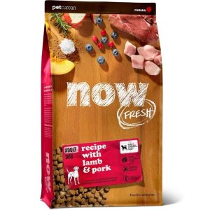 נאו כלב בוגר Now