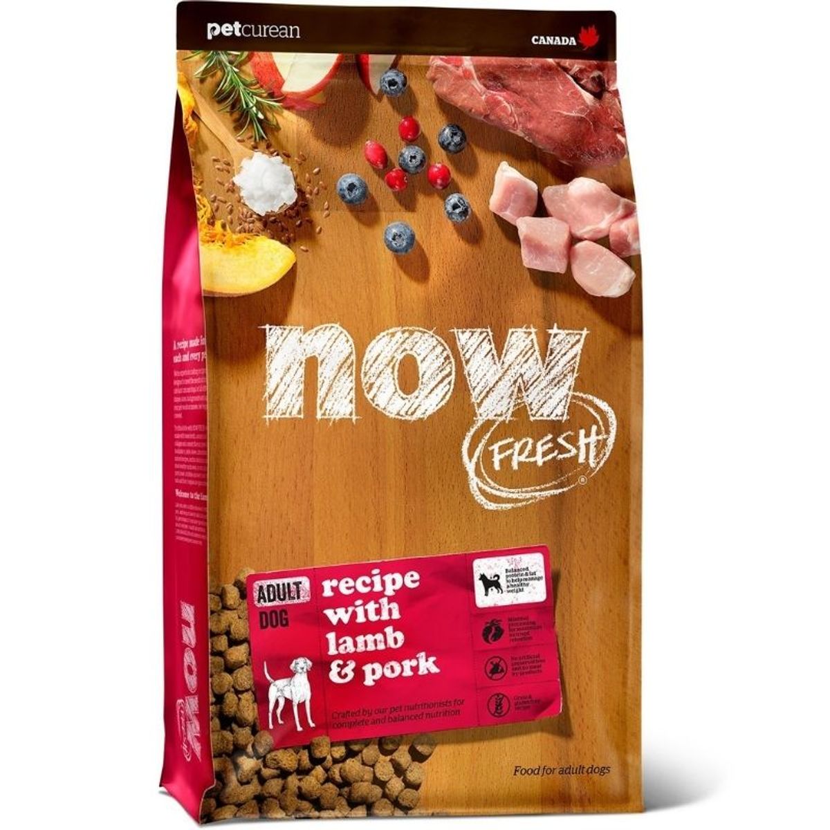 נאו כלב בוגר Now