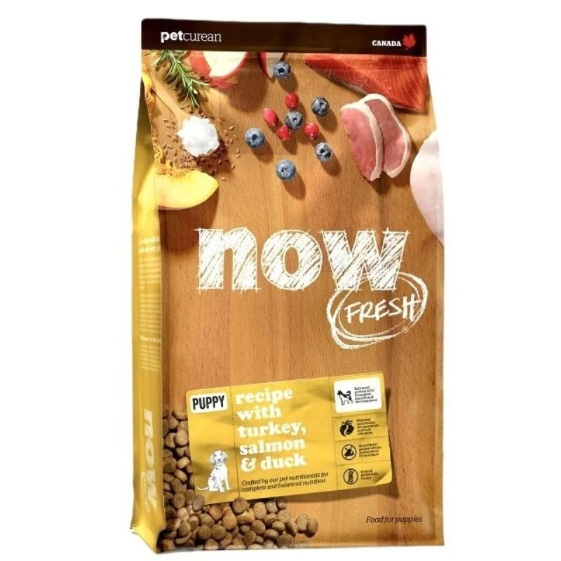 נאו גור כלב Now