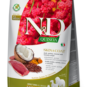 קינואה ברווז