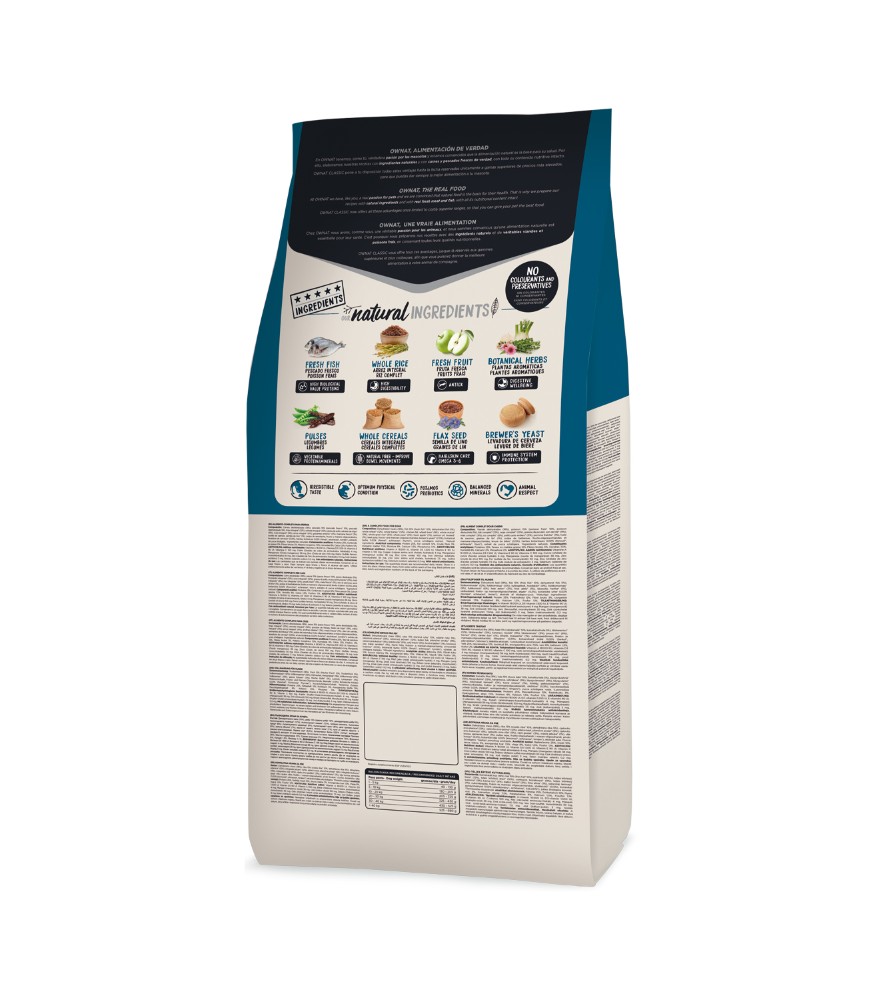 קלאסיק דגים 2