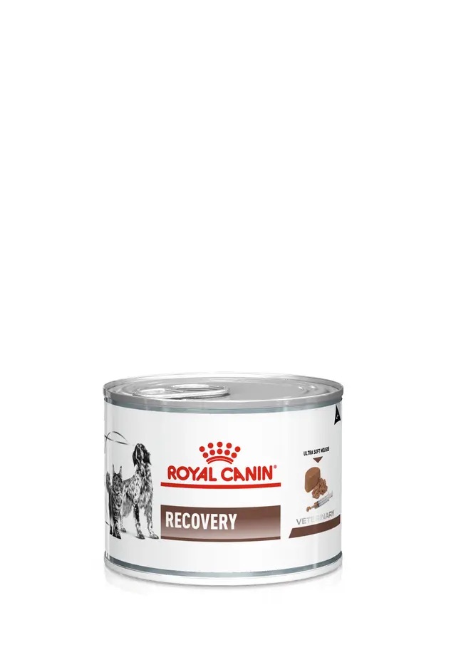 פחית ריקברי לבנה עם לוגו Royal Canin וסמל של חתול וכלב על הרקע