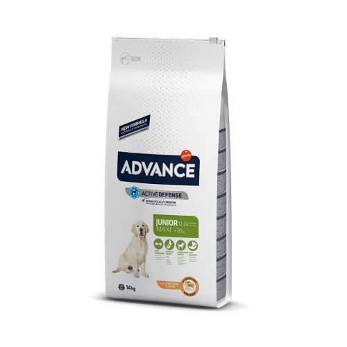 אדוונס גור כלב גדול 14 קג Advance