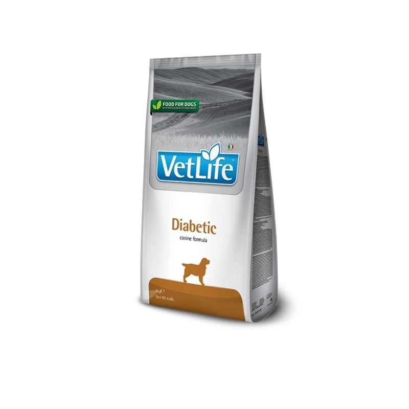 דיאבטיק כלב 2 קג