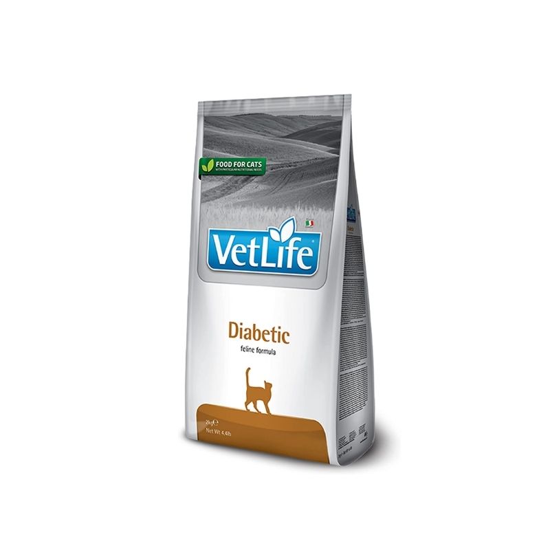 דיאבטיק חתול 2 קג