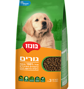 בונזו גורים 3 קג