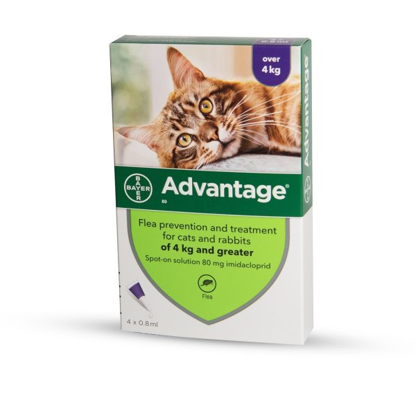 אדוונטג' 80 חתול מעל 4 קג Advantage
