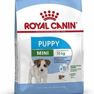 רויאל קנין SHN מיני פאפי 4 קג-Royal Canin