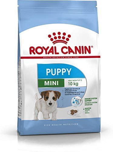 רויאל קנין SHN מיני פאפי 4 קג-Royal Canin