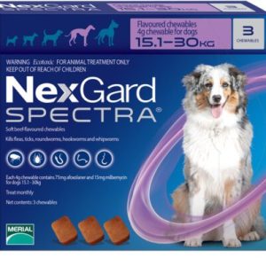 Nex_Gard_15_30-450×398