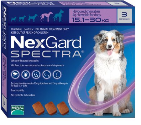 Nex_Gard_15_30-450×398