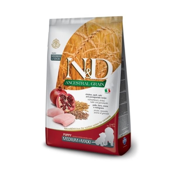 נטורל דלישס גור כלב אנסס עוף N&D בינוני גדול