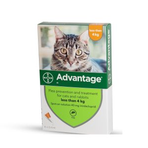 אדוונטג' 40 חתול עד 4 קג Advantage