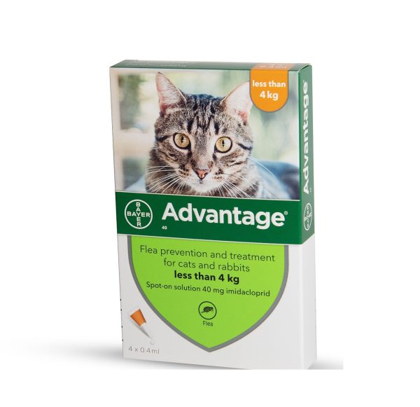 אדוונטג' 40 חתול עד 4 קג Advantage