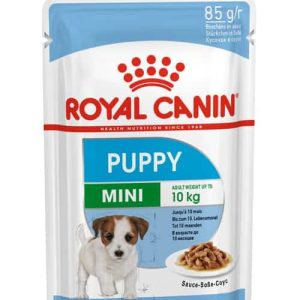 shn18-mini-puppy-n-pouch-85