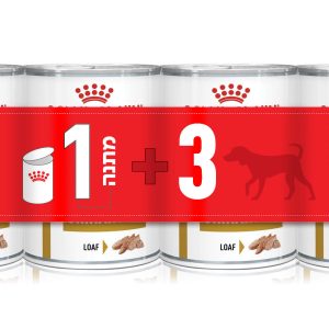 Dog Urin can Dog Urin can