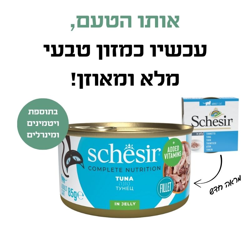 טונה בג׳לי 1