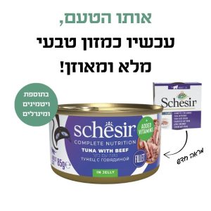 טונה ובקר בגלי 2