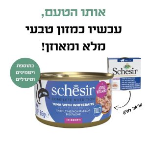 טונה ודגיגים בציר 2 טונה ודגיגים בציר 2