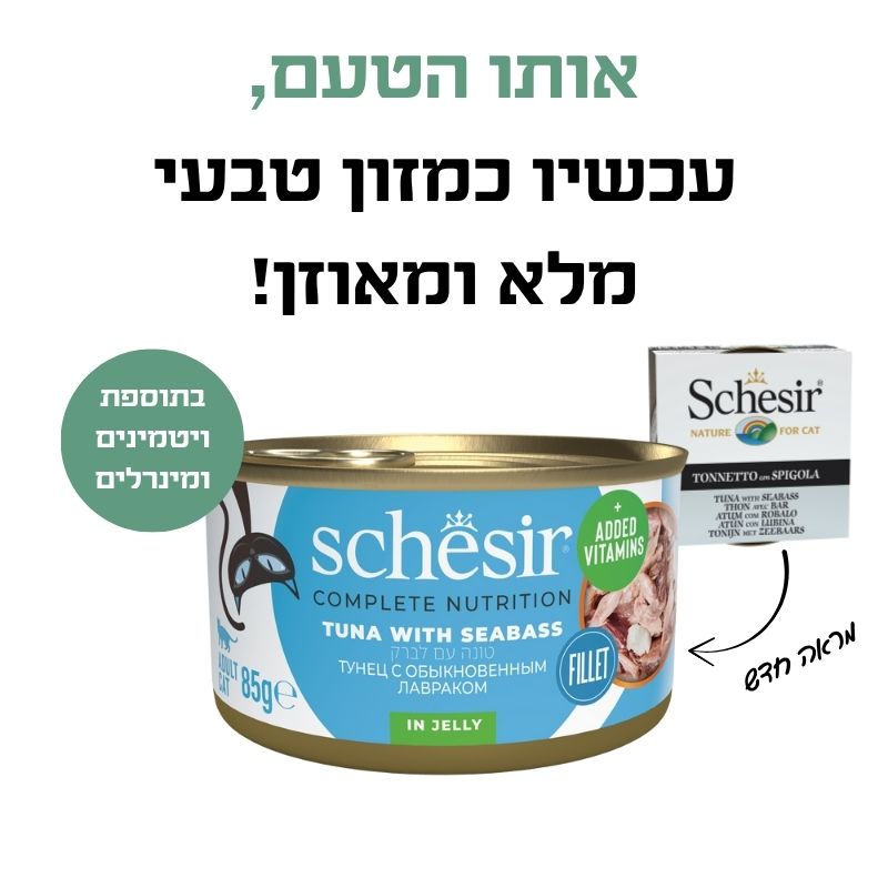 טונה ולברק 2 טונה ולברק 2