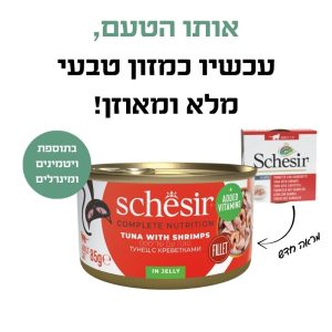טונה ושרימפס 1 טונה ושרימפס 1
