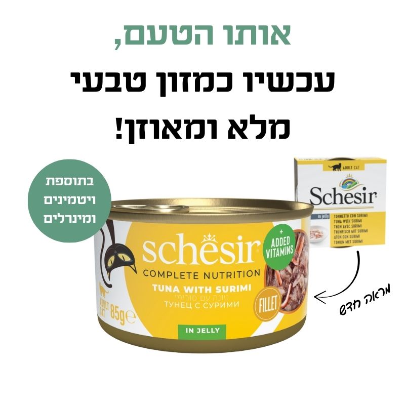 טונה עם סורימי 2