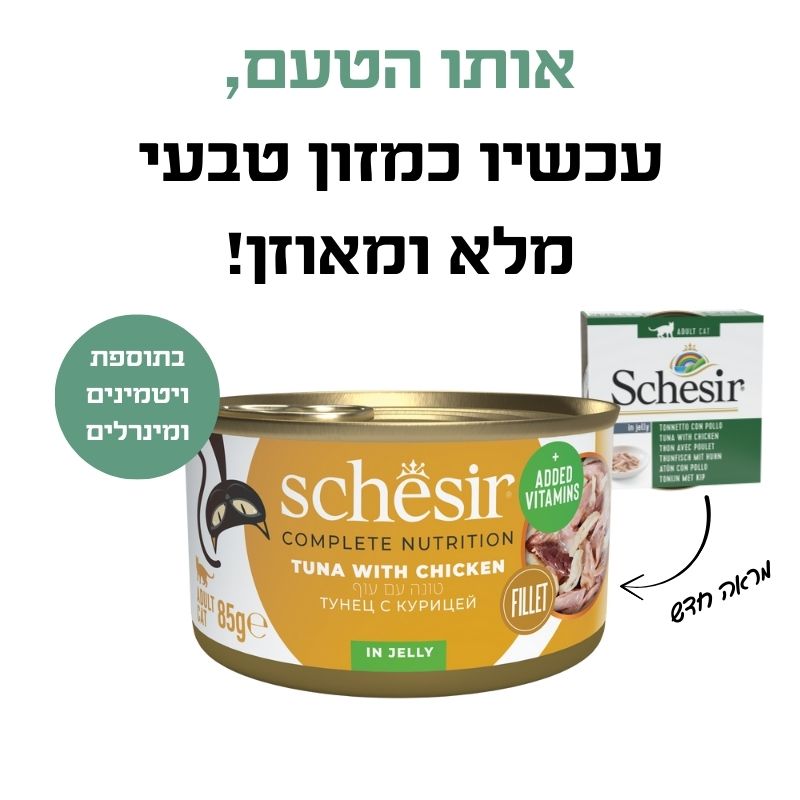 טונה עם עוף בגלי 2