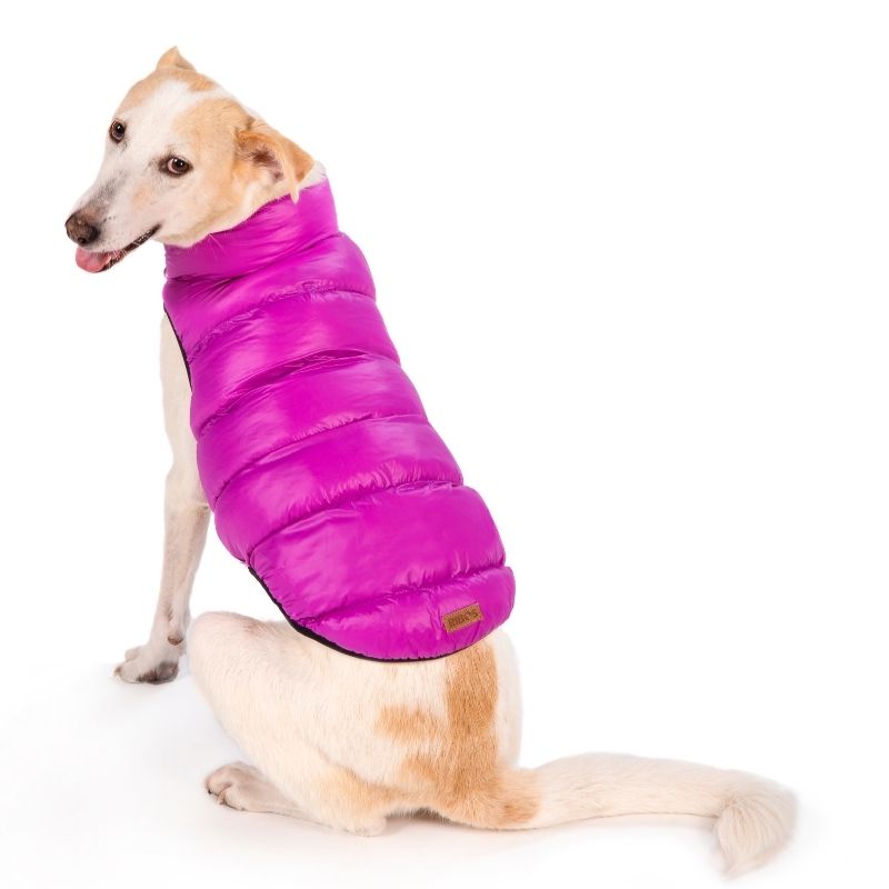 מעיל דו־צדדי לכלבים בגווני אפור־סגול.