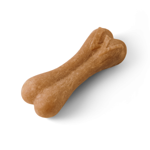 צורת עצם 3 צורת עצם 3