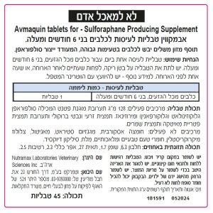 צתוסף אחורי